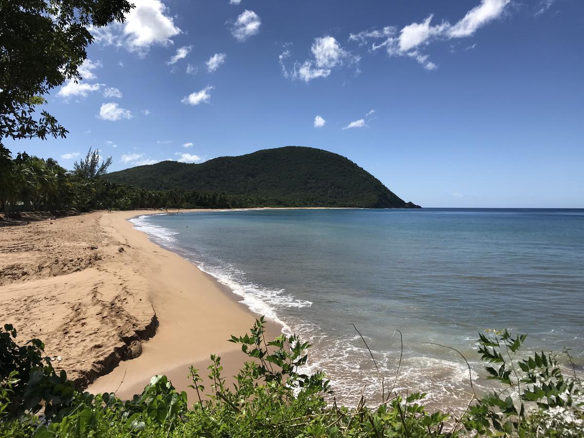Appartamento Appart Coeur De Rhum Pointe-à-Pitre Esterno foto